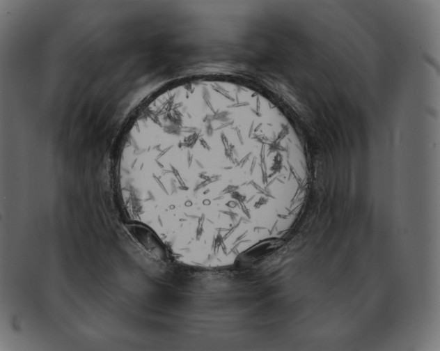 X0000092331404200710121524