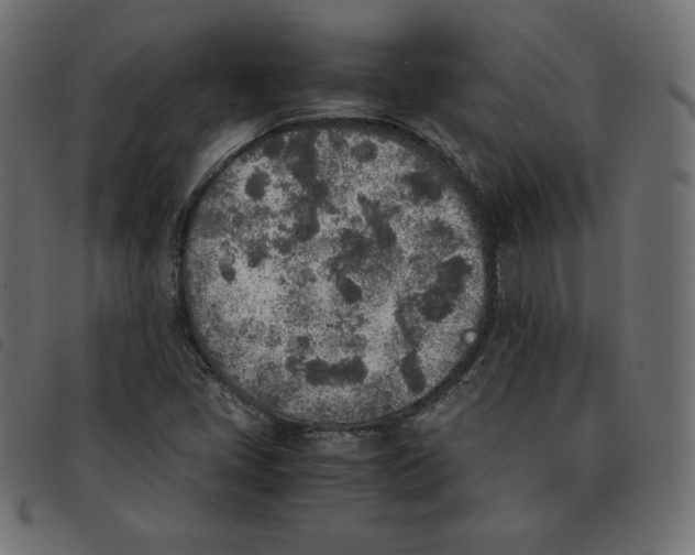 X0000092331405200710121524