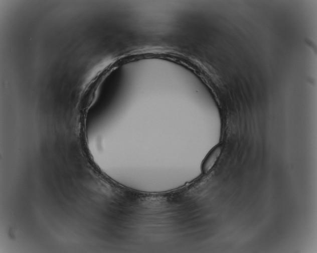 X0000092331406200710121524