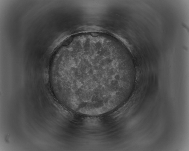 X0000092331407200710121524