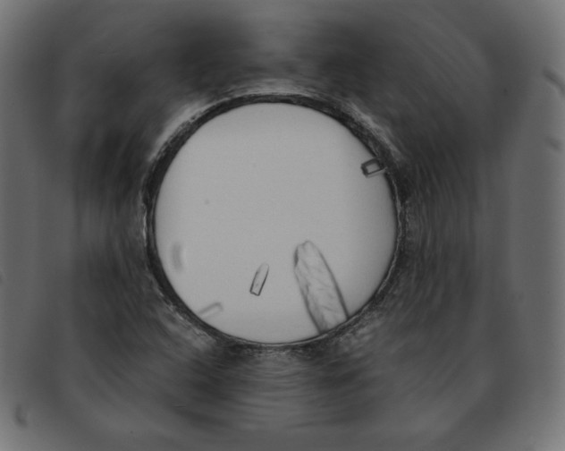 X0000092331408200710121524