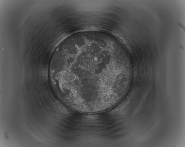 X0000092331409200710121524