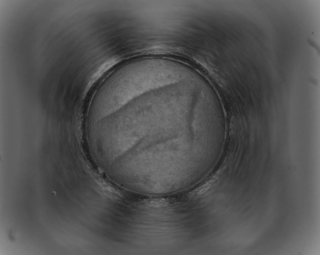 X0000092331410200710121524