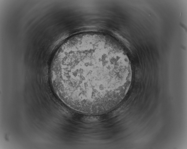 X0000092331411200710121524