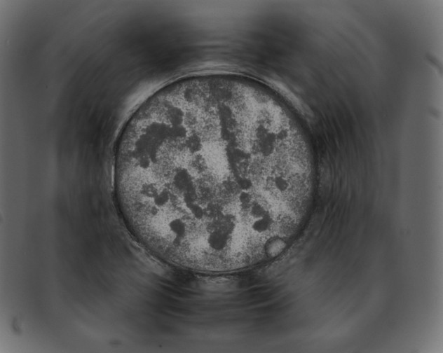 X0000092331413200710121524