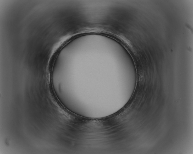 X0000092331414200710121524