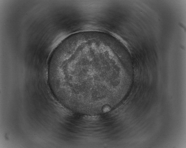 X0000092331415200710121524