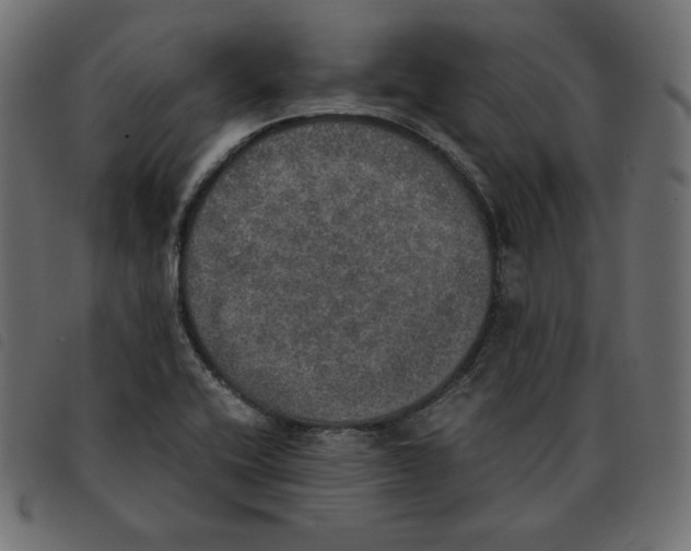 X0000092331416200710121524