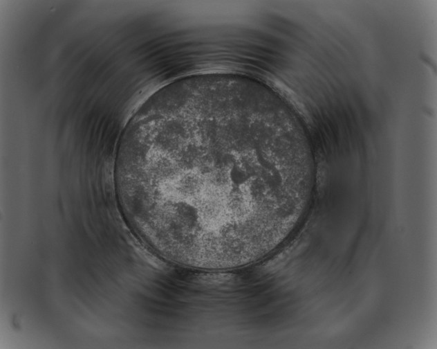 X0000092331417200710121524