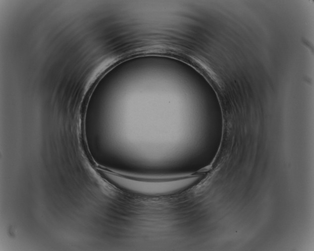 X0000092331418200710121524