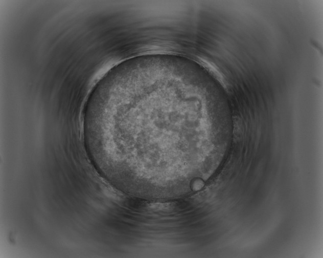 X0000092331419200710121524
