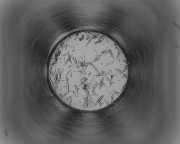 X0000092331420200710121524