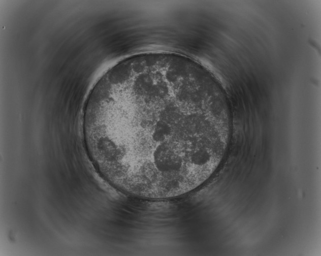 X0000092331421200710121524