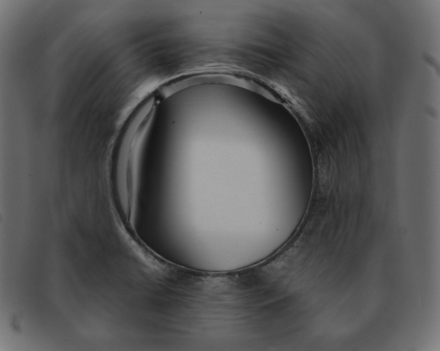 X0000092331422200710121524