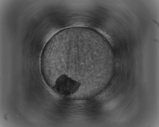 X0000092331423200710121524