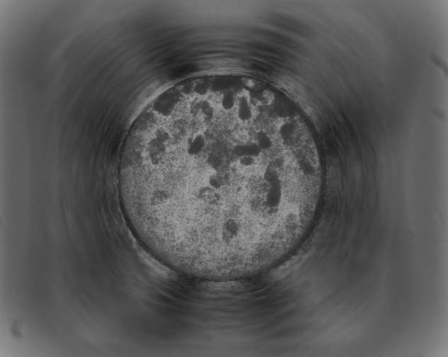 X0000092331425200710121524