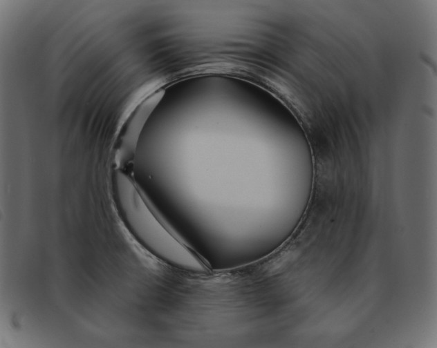 X0000092331426200710121524