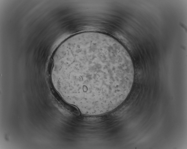 X0000092331427200710121524