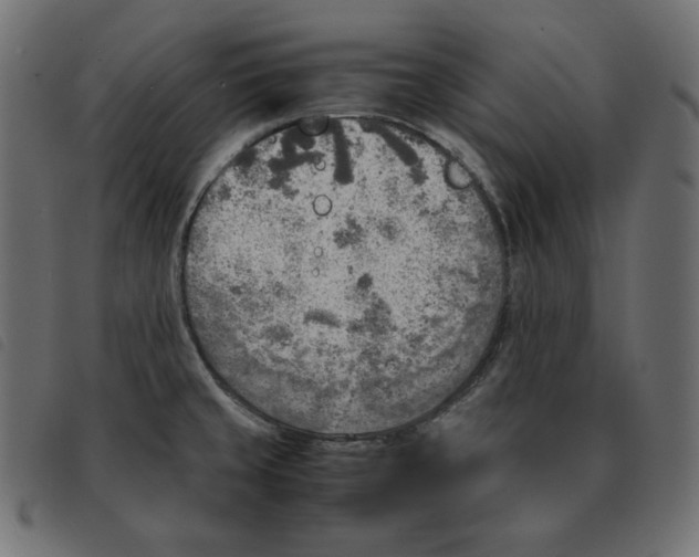 X0000092331429200710121524