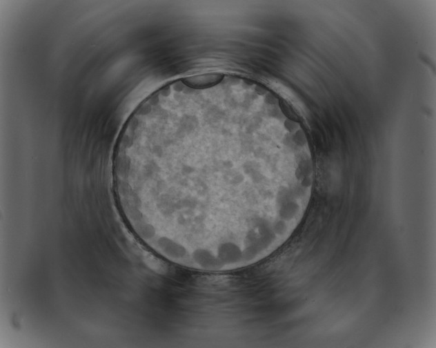 X0000092331431200710121524