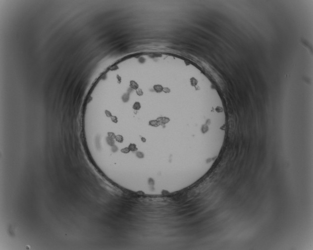 X0000092331432200710121524