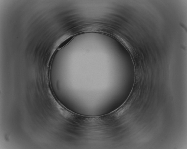 X0000092331434200710121524