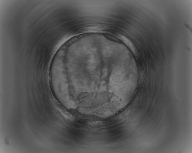 X0000092331435200710121524