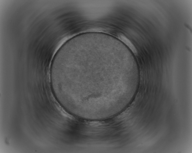 X0000092331436200710121524