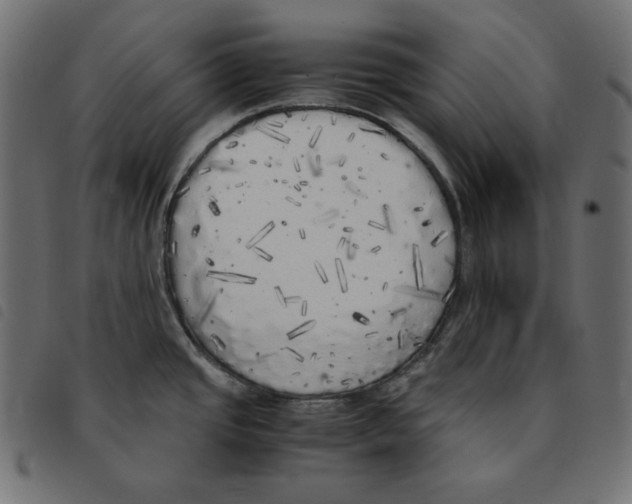 X0000092331437200710121524