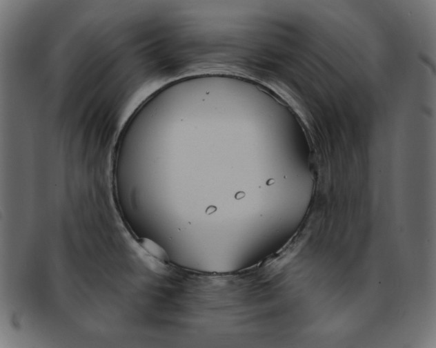 X0000092331438200710121524