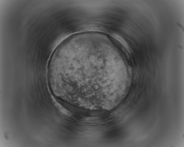 X0000092331439200710121524