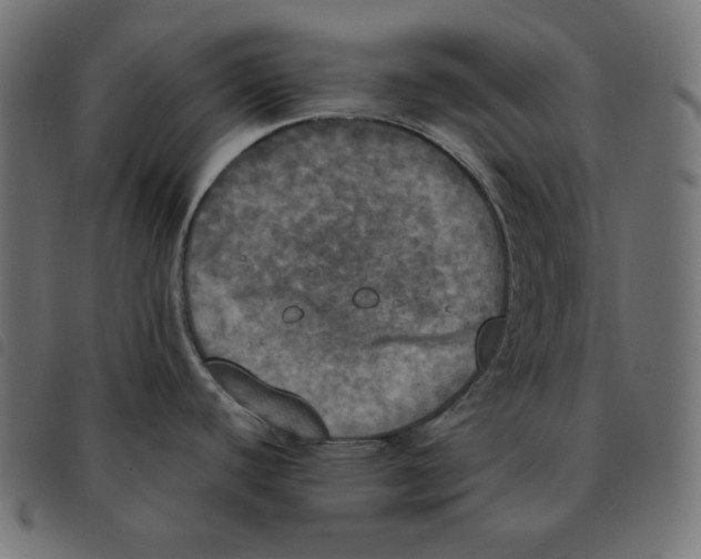 X0000092331440200710121524