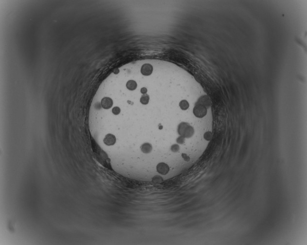 X0000092331441200710121524