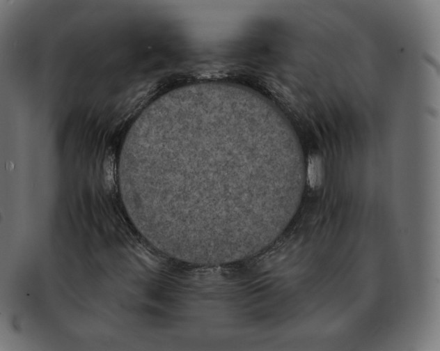X0000092331444200710121524