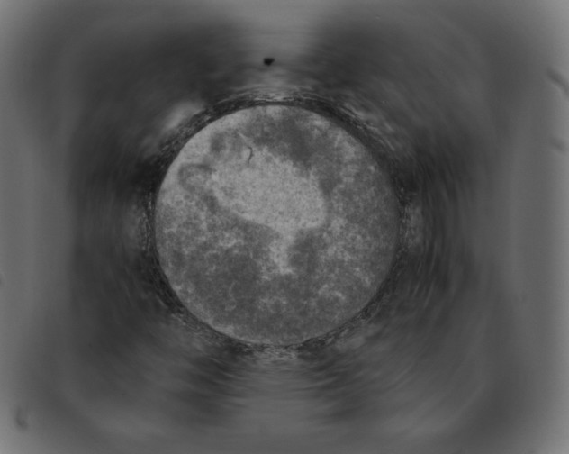 X0000092331446200710121524