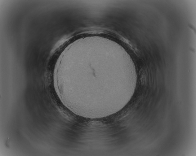 X0000092331448200710121524