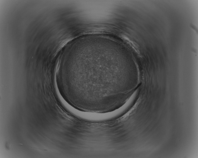 X0000092331449200710121524