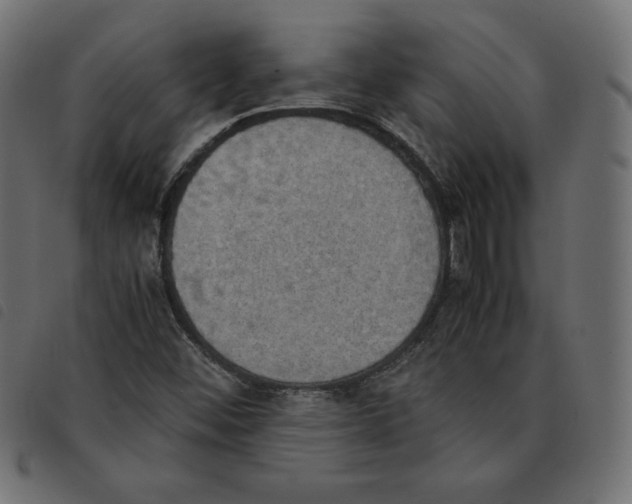 X0000092331452200710121524