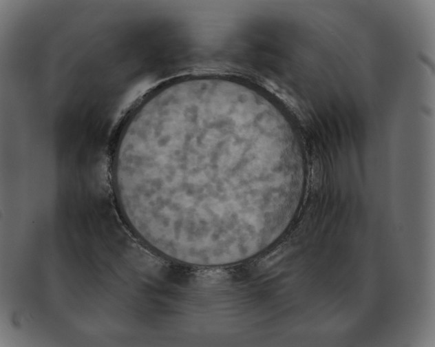 X0000092331454200710121524