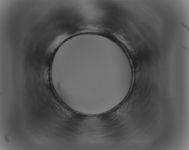 X0000092331455200710121524