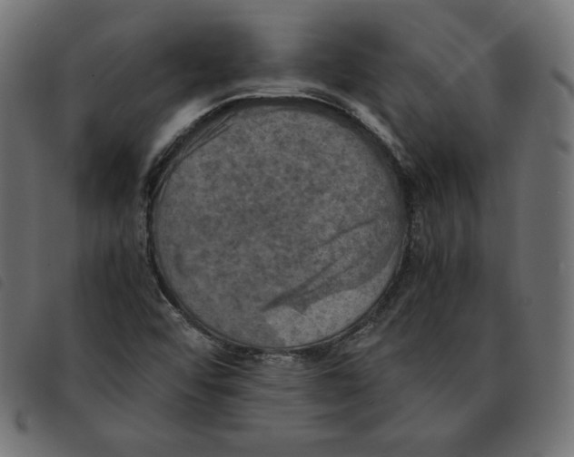 X0000092331456200710121524