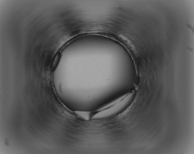 X0000092331457200710121524