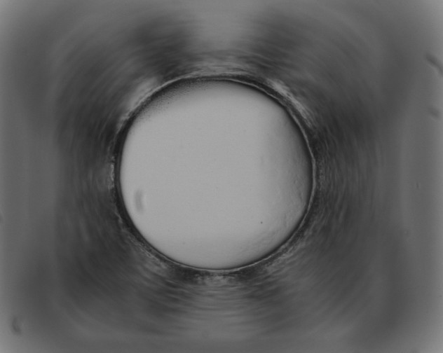 X0000092331459200710121524