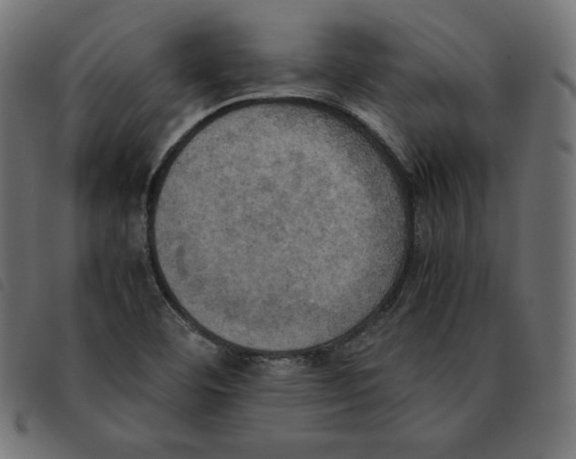 X0000092331460200710121524