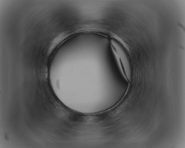 X0000092331461200710121524
