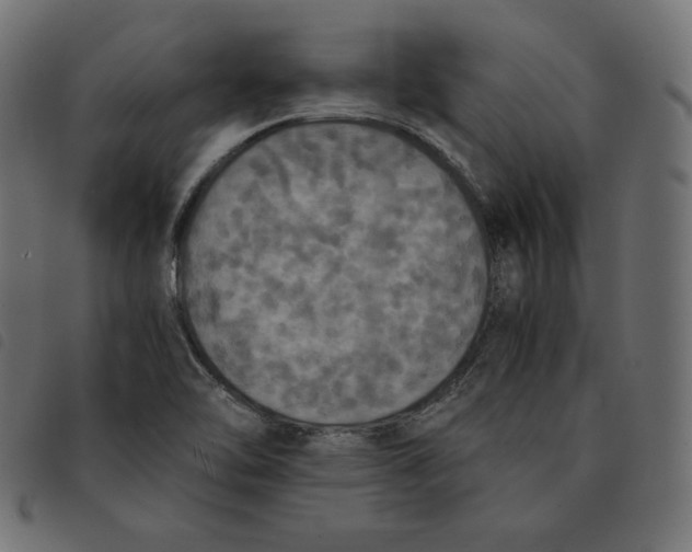 X0000092331462200710121524