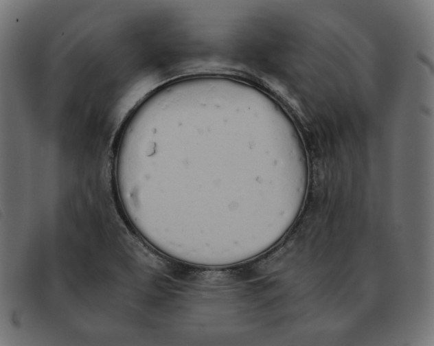 X0000092331463200710121524
