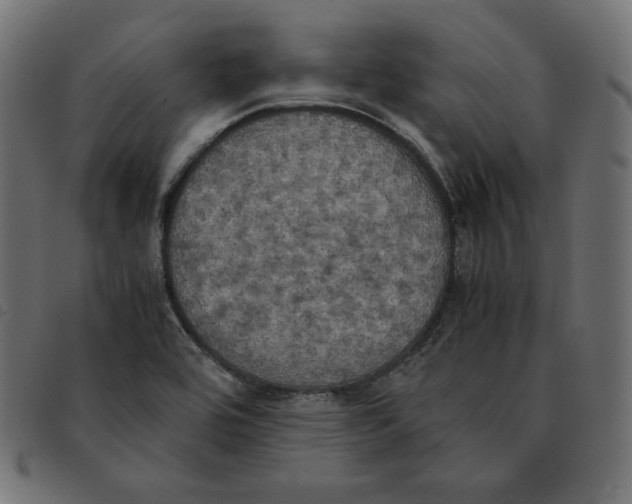 X0000092331464200710121524