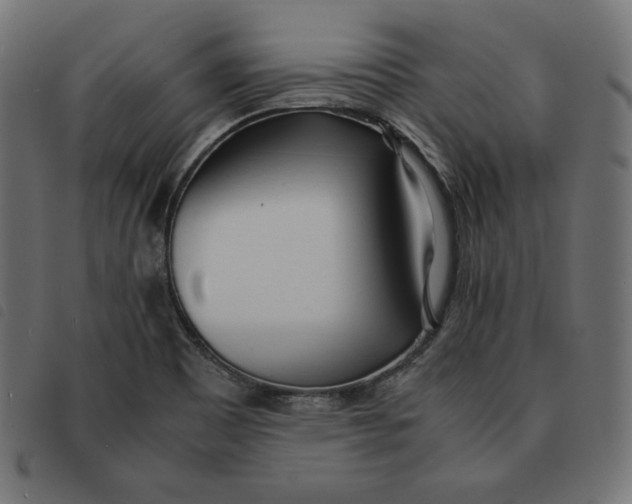 X0000092331465200710121524