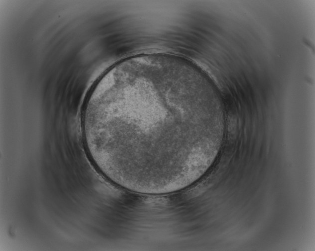X0000092331466200710121524